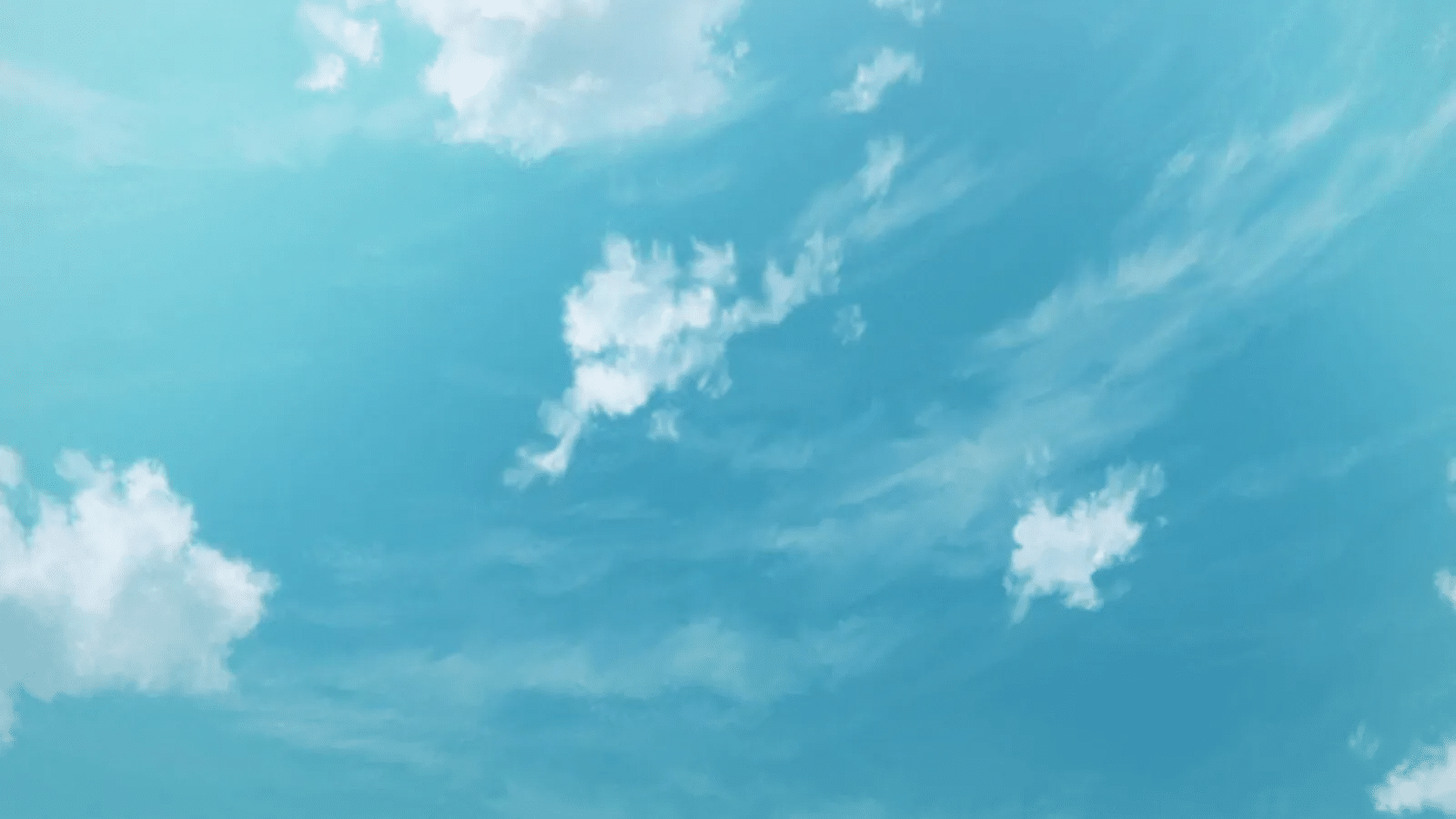 元宝分享